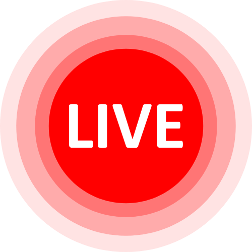 Gay Cam Model